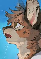 feline furry // 595x842 // 648KB