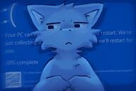 cat errors feline furry windows // 2020x1350 // 202KB
